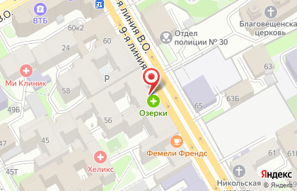 Аптека Радуга в Василеостровском районе на карте