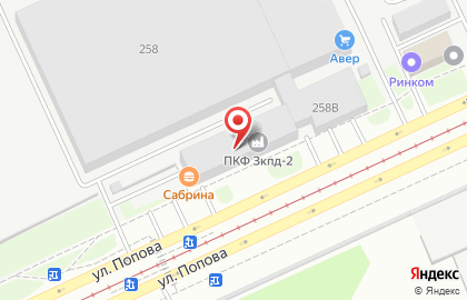 Компания Егоза на улице Попова на карте