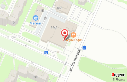Магазин товаров для праздника Petergof_shar на карте
