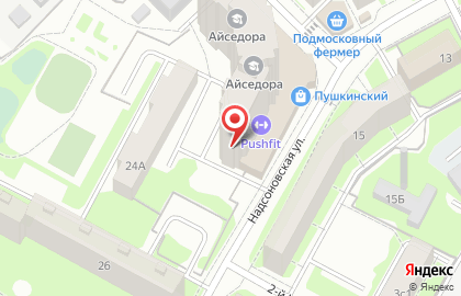 Театр эстрадной песни для детей Домифаций в Пушкино на карте