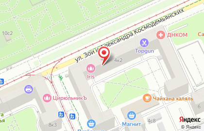 Детская городская поликлиника №133 на улице Зои и Александра Космодемьянских на карте
