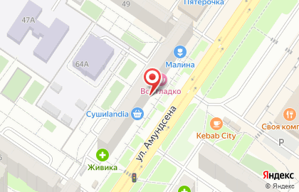Магазин Сороконожка на улице Амундсена на карте