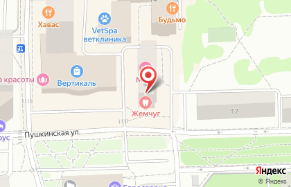 Ветеринарная клиника Вет-77 Юбилейный на Пушкинской улице на карте