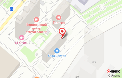 Интернет-магазин Твой очаг на Мичуринском проспекте на карте