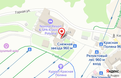 Ресторан Белый Гриб на карте