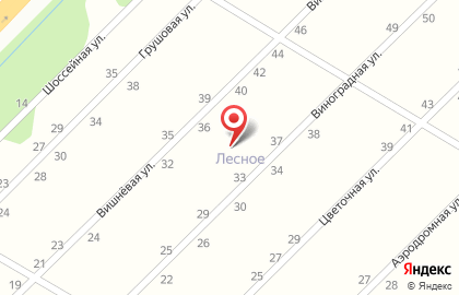 Пейнтбольный клуб Ватага на Виноградной улице на карте