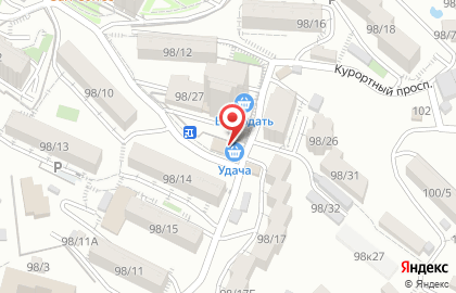 Продуктовый магазин Удача на Курортном проспекте на карте