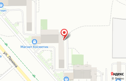Выездная служба Детокс на улице Ленина на карте