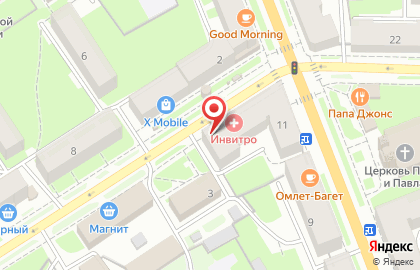 Зоомагазин Petshop на Большой Санкт-Петербургской улице на карте