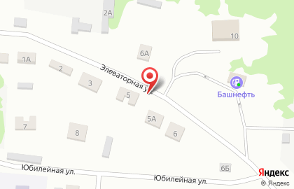 Магазин автозапчастей AutoPolka.ru на Элеваторной улице на карте