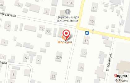 Домовой на Центральной улице на карте