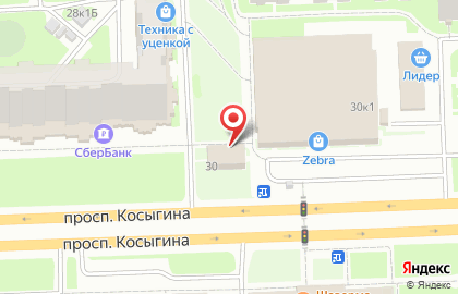 Любимчик на проспекте Косыгина на карте
