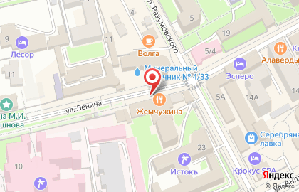 Аптека Ромашка плюс на улице Ленина на карте