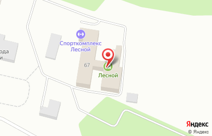 Спортивно-оздоровительный комплекс Лесной в Октябрьском районе на карте