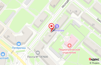 Пикалёвская Городская Больница, Педиатрическое Отделение на карте