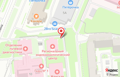 Санкт-Петербургский территориальный диабетологический центр на карте