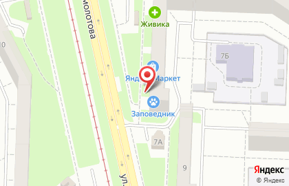 Сеть зоомагазинов Заповедник на улице Сыромолотова на карте