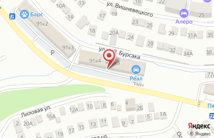 Магазин разливного пива Океан на улице Горького на карте