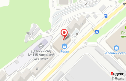 Торговая компания Дельрус-Приморье в Советском районе на карте