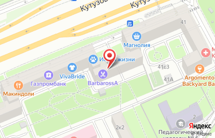 Сеть винотек Vinissimo на Кутузовском проспекте на карте