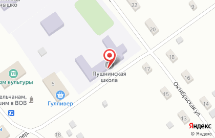 Пушнинская средняя общеобразовательная школа на карте