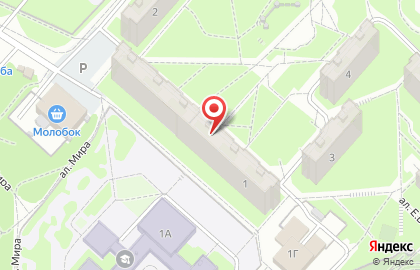 Чистый лист в Новосибирске на карте