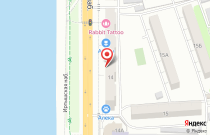 Сеть продовольственных магазинов, ООО Купец в Центральном округе на карте