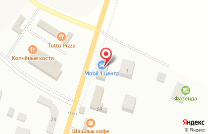 Авторизованный сервисный центр Mobil 1 Центр в Петродворцовом районе на карте