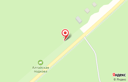 Клуб проката Позитив в Барнауле на карте