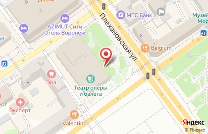 Воронежский государственный театр оперы и балета на карте