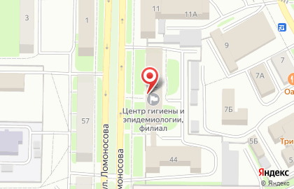 Территориальный отдел Роспотребнадзора на улице Ломоносова на карте
