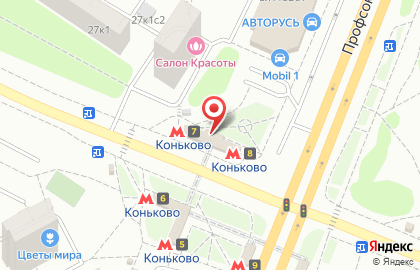 Магазин Минипорт на улице Островитянова на карте