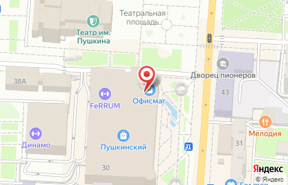 Торгово-развлекательный центр Пушкинский на карте