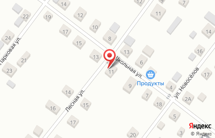 Компания ПрофЭксперт на Школьной улице на карте