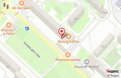 Зенит на Салмышской улице на карте