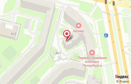 Ремедиум на Коломяжском проспекте на карте
