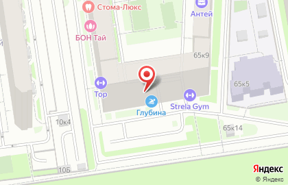 Центр раннего плавания-детский бассейн Глубина на карте