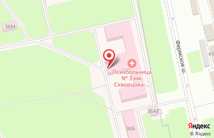 Психиатрическая больница №3 им. И.И. Скворцова-Степанова в Санкт-Петербурге на карте