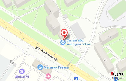 Магазин разливного пива Пенный гараж на карте