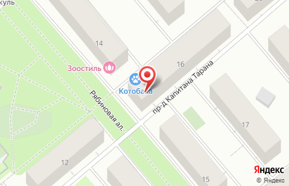 Зоомагазин Котобака на карте