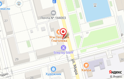 Ветеринарная аптека Дикси в Электростали на карте
