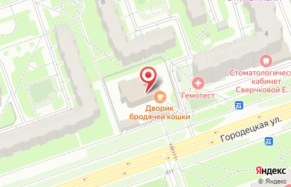Кафе Дворик бродячей кошки на карте
