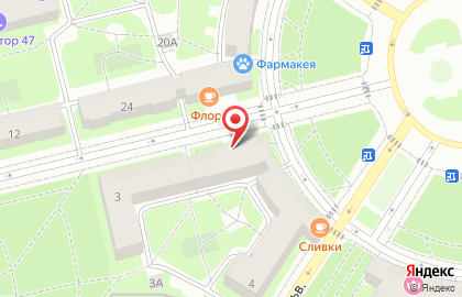 Магазин игрушек и сумок в Пушкинском районе на карте