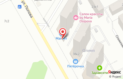 Супермаркет Магнит на Лососинском шоссе на карте