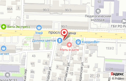 Оптово-розничный магазин Долина цветов на проспекте Ленина, 145 на карте
