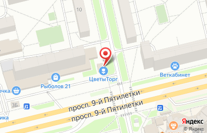 Салон цветов ЦВЕТЫторг в Чебоксарах на карте