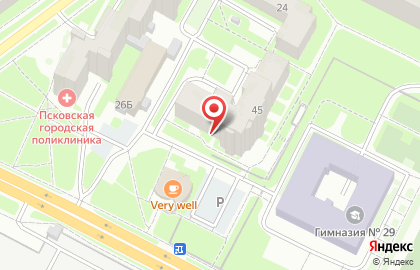 Псковский таможенный терминал на карте