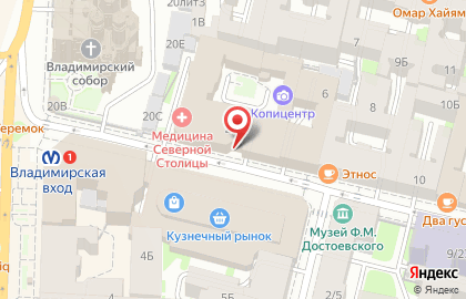 Диагностический центр Медицина Северной Столицы в Кузнечном переулке на карте