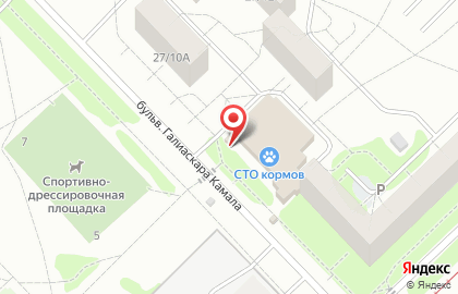 Фотостудия Secret Garden в Набережных Челнах на карте