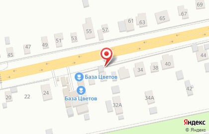 Фирма Тема на карте